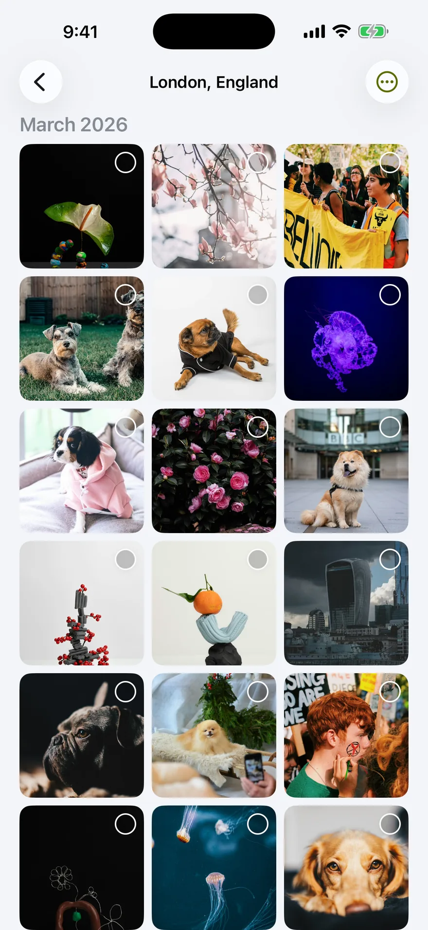 A place folder showing photos from a trip to London
