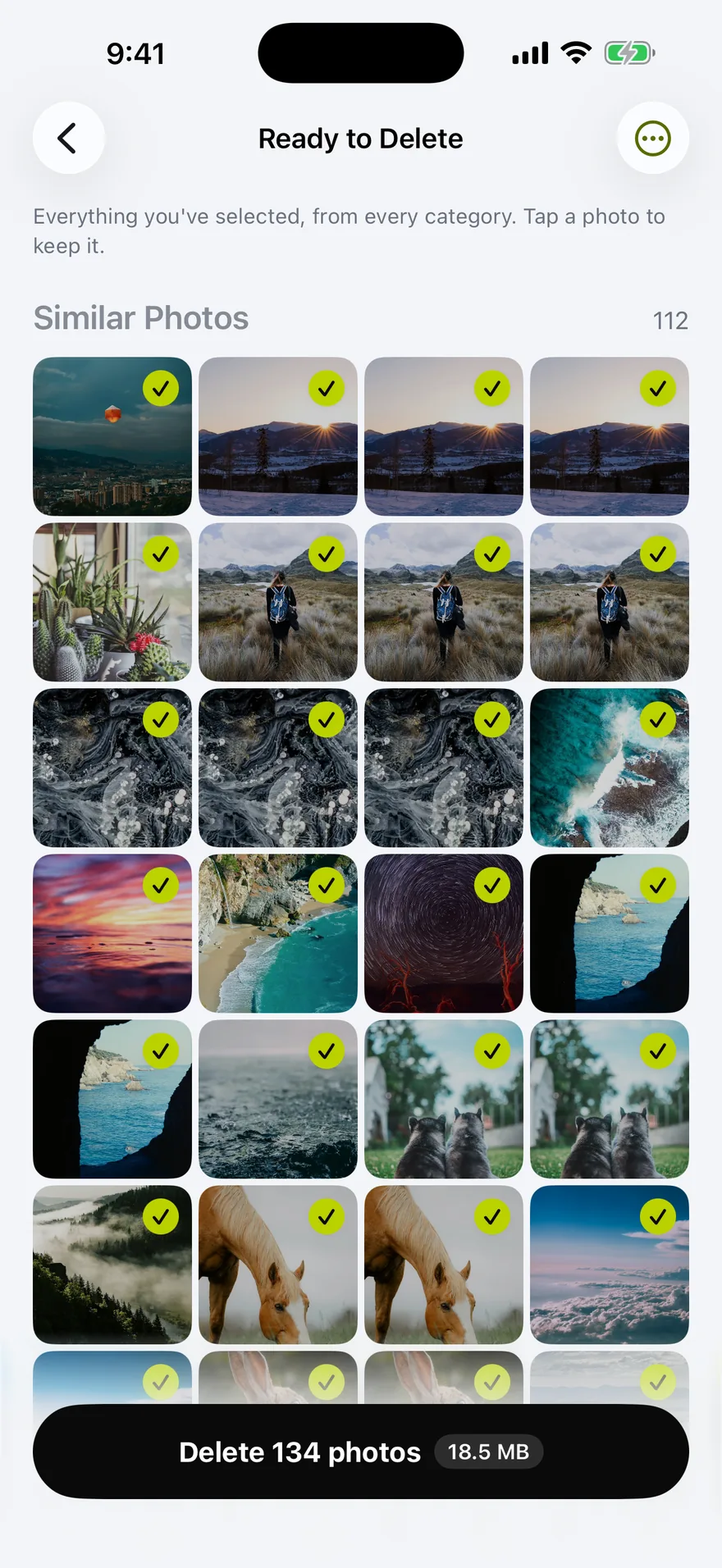 The Ready to Delete queue listing everything selected